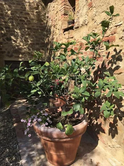 Agli Olivi Di Marciano Apartment Siena 0*,